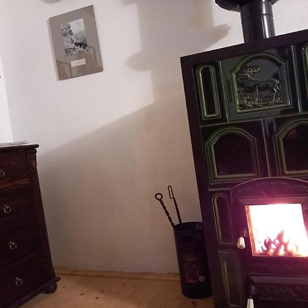Galeria Turismului Montan Guest House Cartisoara Ngoại thất bức ảnh