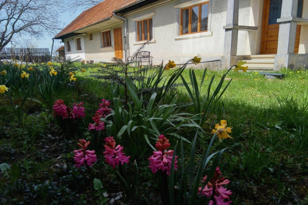 Galeria Turismului Montan Guest House Cartisoara Ngoại thất bức ảnh
