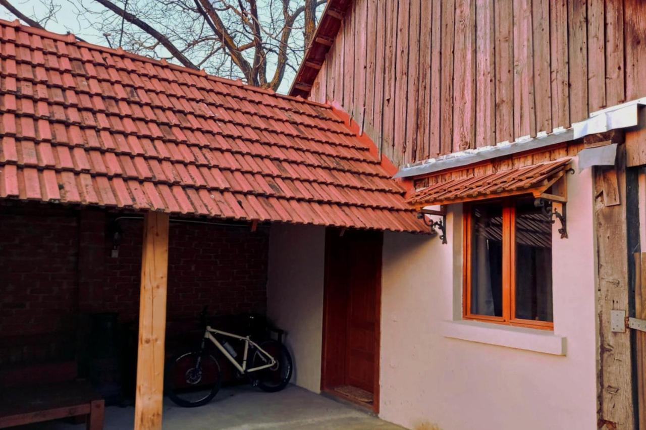 Galeria Turismului Montan Guest House Cartisoara Ngoại thất bức ảnh